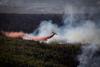 101206-forest-fire.jpg