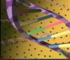 DNA.png