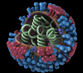 flu virus image flu virus image