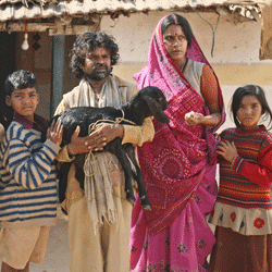 peepli-live-Postersgif1.gif