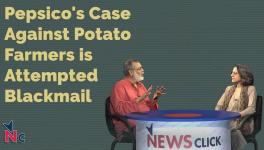 Pepsico's Case Against Potato Farmers