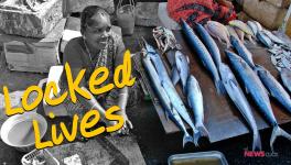 Fishermen suffer due to COVID