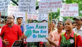 Huge Victory for ‘Save Aarey’ Movement as Metro Car Shed to be Shifted to Kanjurmarg in Mumbai