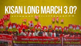 Onion Woes: Thousands of Farmers March on Foot From Nashik to Mumbai