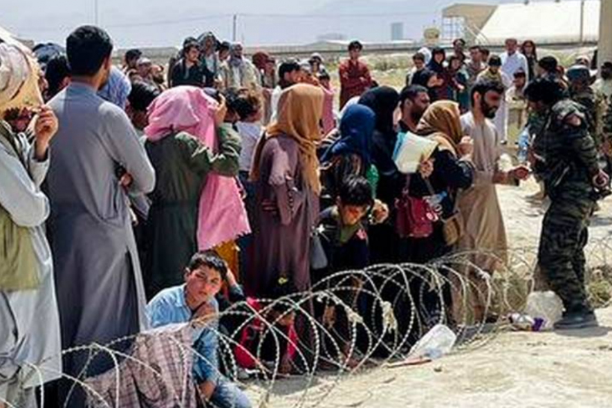 afghan refugee