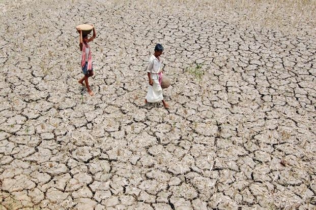 Window To Real Gujarat #5: Agriculture Crisis Grips &#39;Model&#39; Gujarat |  NewsClick