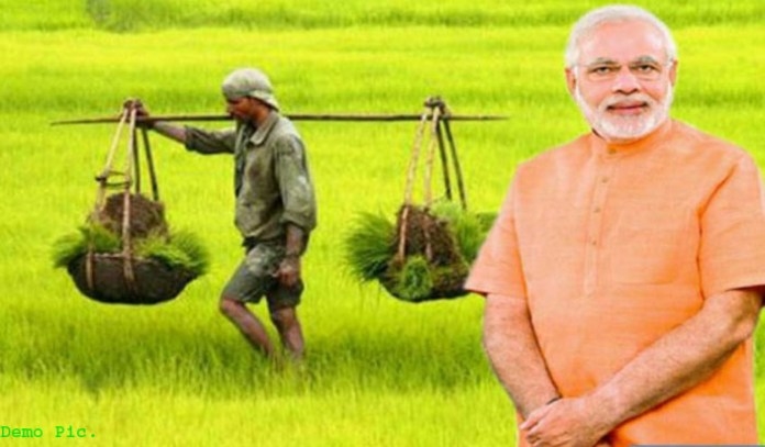 Pmfby Apply Pradhan Mantri Fasal Bima Yojana Crop Insurance