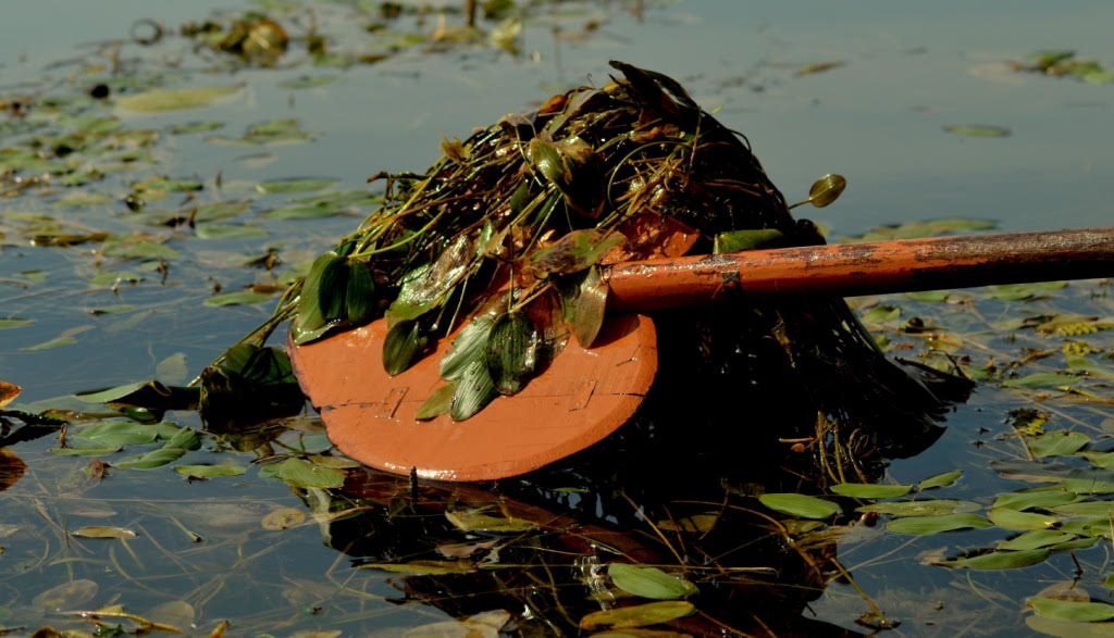 Wular Lake