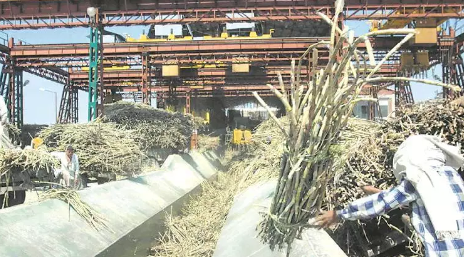 Tamil Nadu Farmers’ Associations Accuse Sugar Mill Owner of Tricking ...