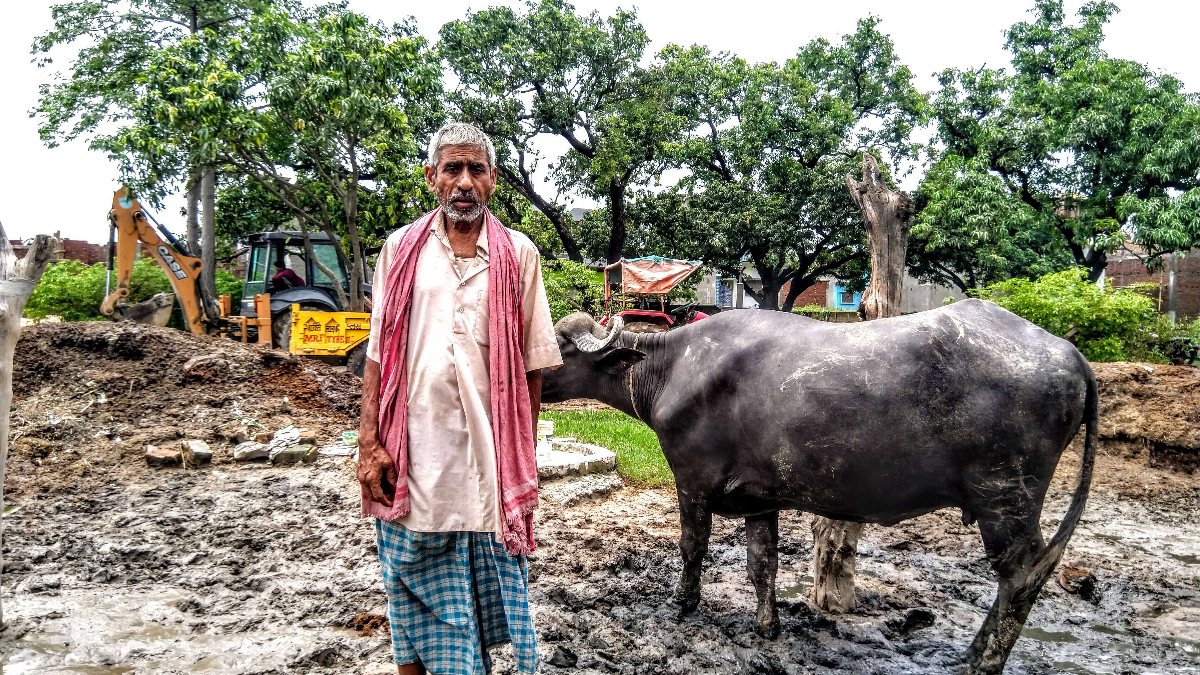 Yearly Floods in Bihar Traditional Dairy Farmers Suffer NewsClick
