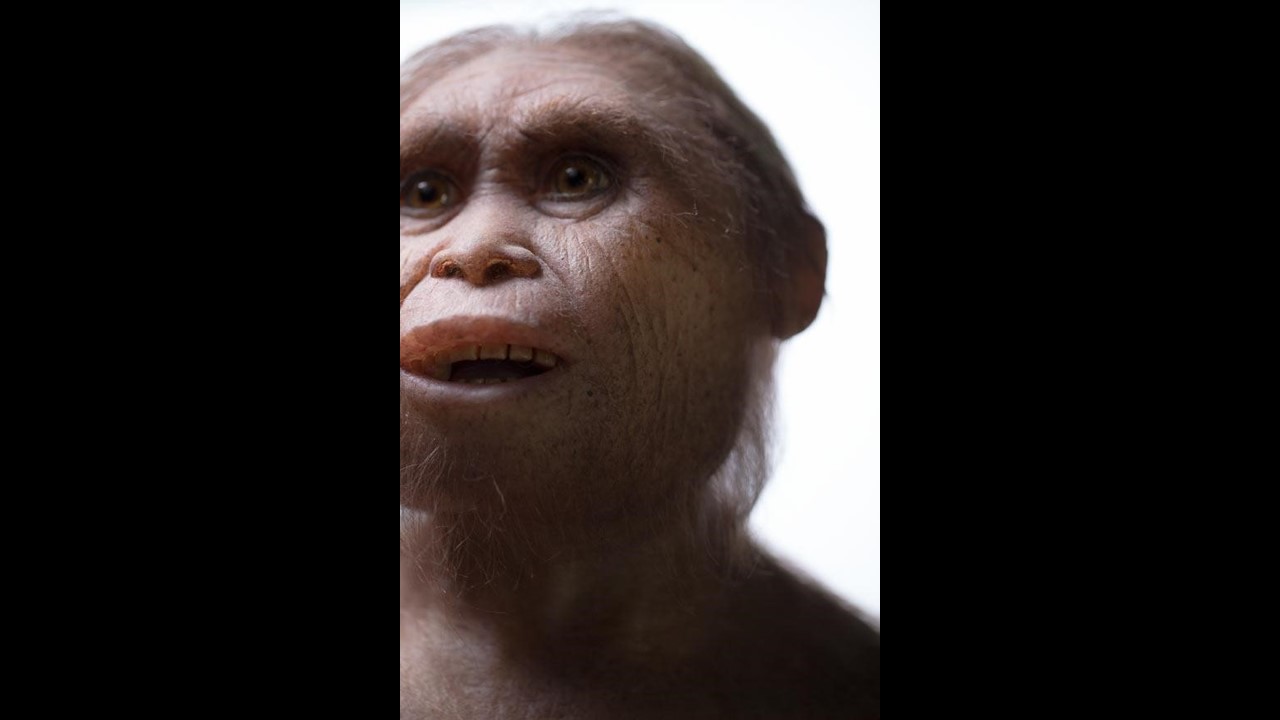 Modern Humans Interbred With Two More Archaic Humans | NewsClick
