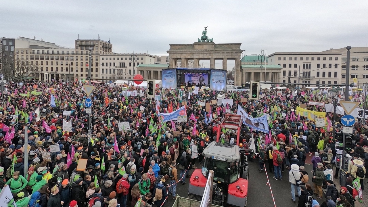 German Farmers Protest Restrictive Regulations Benefiting ...