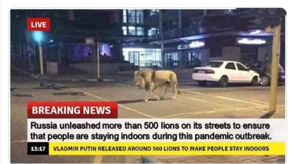 Russia_Putin_Coronavirus_Lion_Lockdown_0.jpg