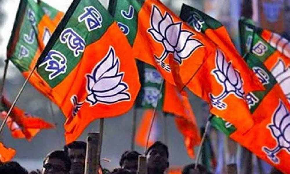 BJP Candidate Arrested for Vandalism Outside CM's Residence : Will Redeem Myself by Winning MCD Polls