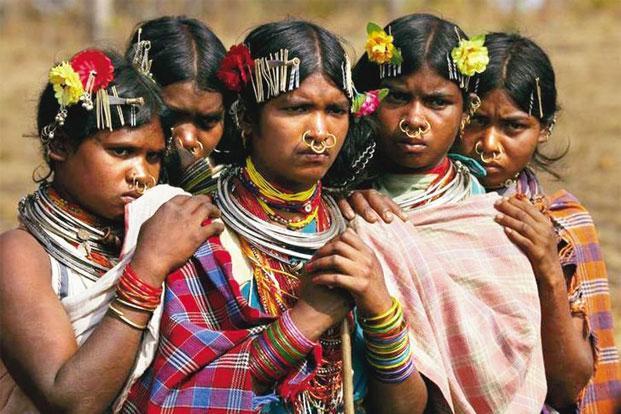 MP: 'Over 37,000 Kilometres of Tribal Land to be Handed Over to Corporates