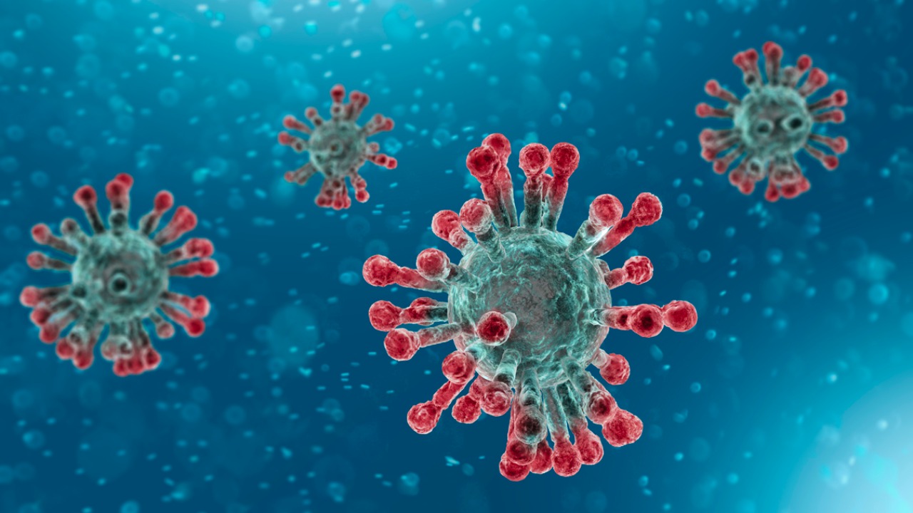 Covid 19 Reinfection Virus Could Hide Itself In Human Chromosome Finds New Study Newsclick Covid 19 Reinfection Virus Could Hide Itself In Human Chromosome Finds New Study Newsclick