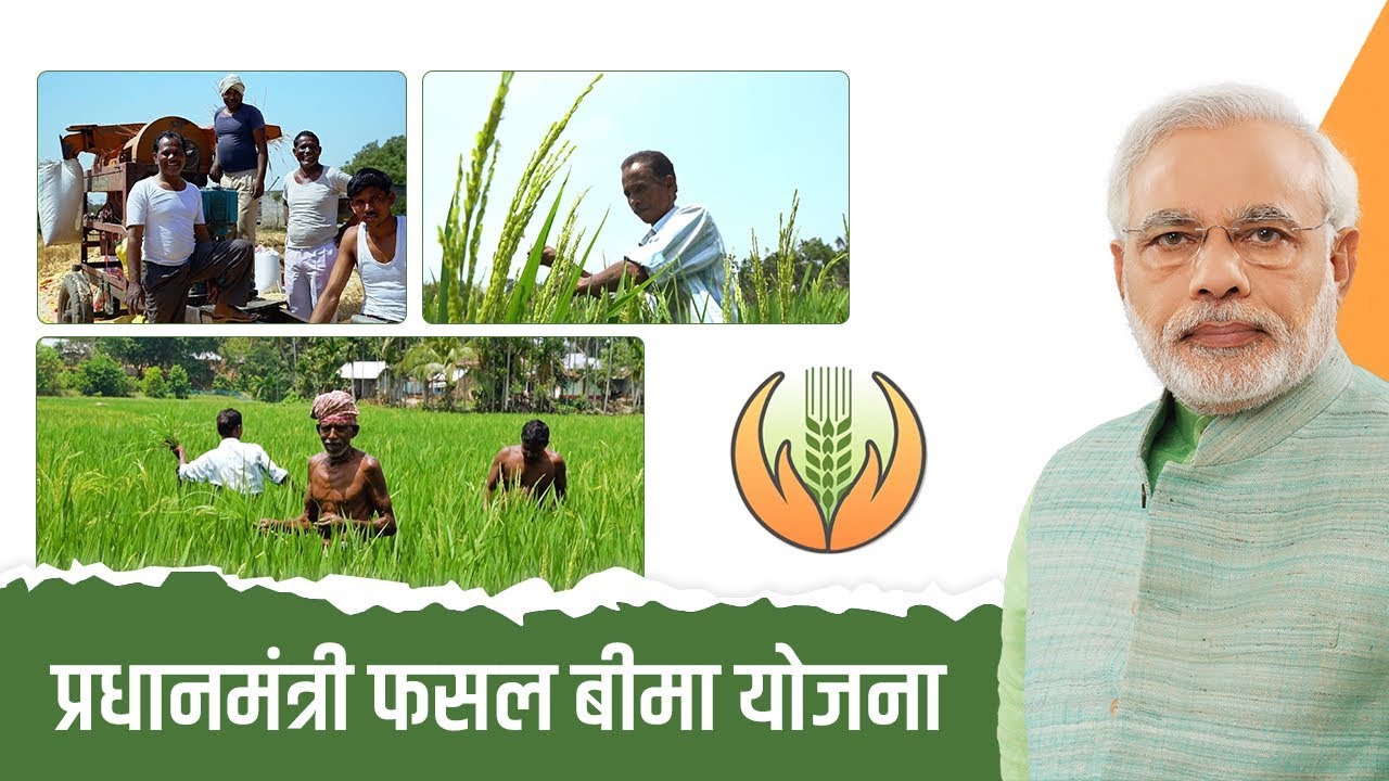 Corporate Sector Makes Landslide Profits from Modi's Flagship  Agri-Insurance Scheme | NewsClick