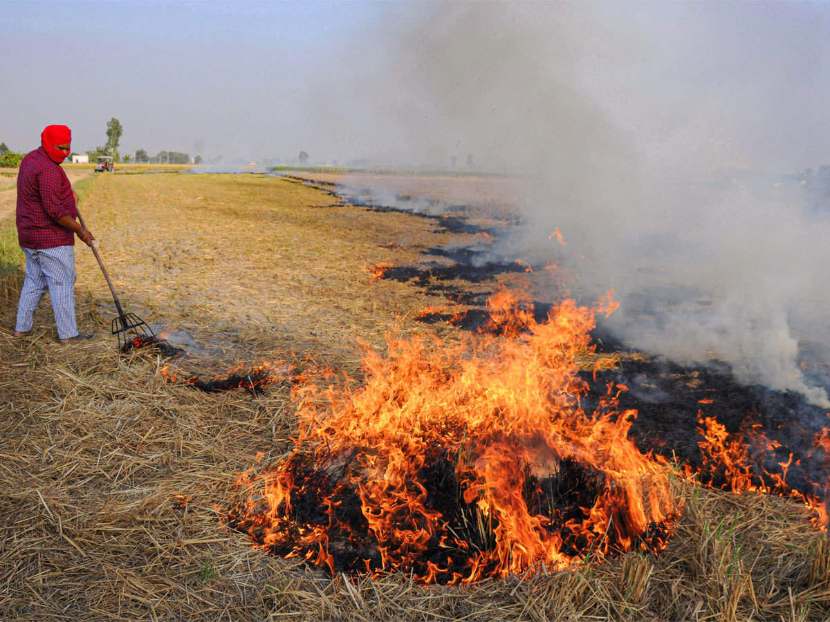 Why the Stubble Burning Problem Refuses to Go Away NewsClick