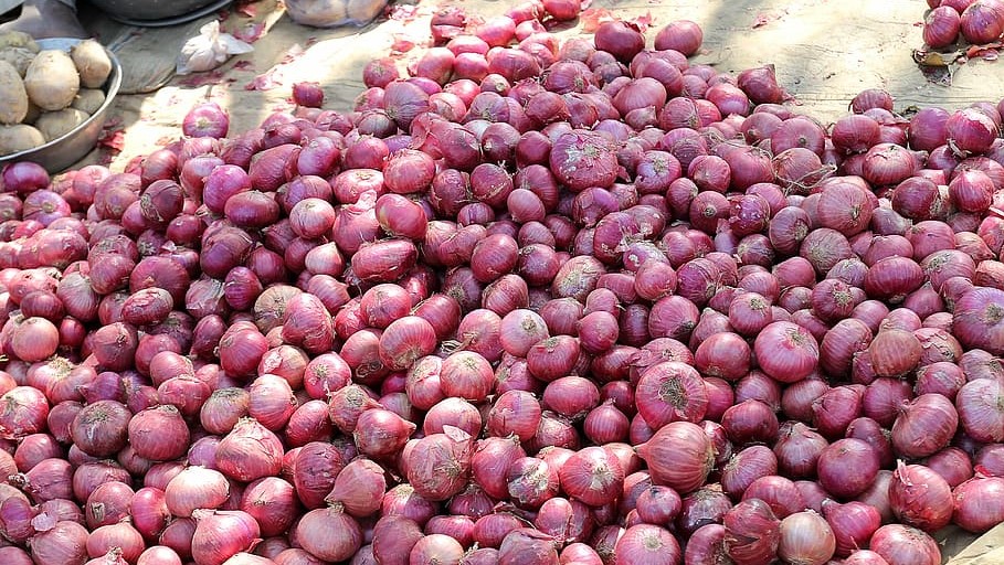 Maharashtra Onion Farmers Protest on Highway; Stop Auctions in Some