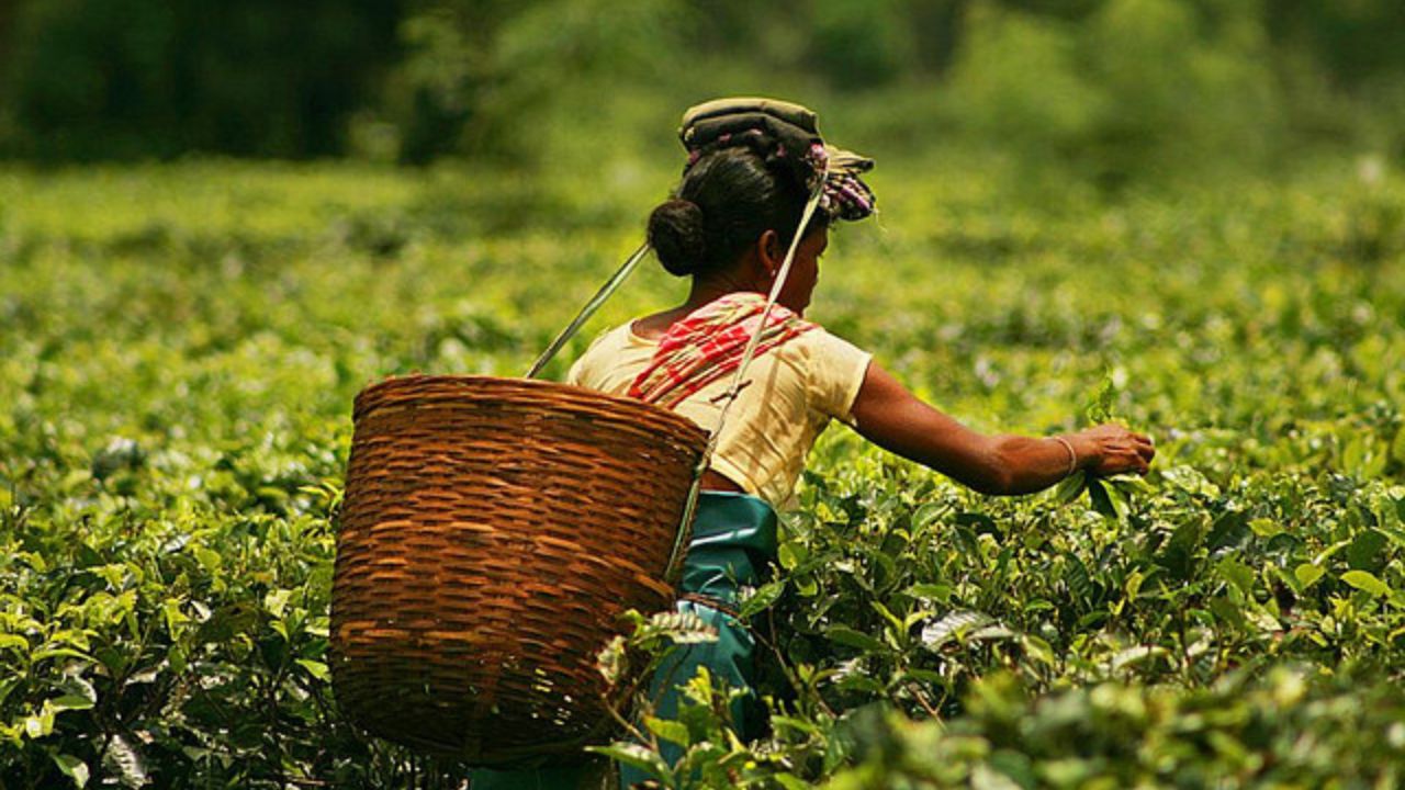 North Bengal: Women Becoming Hinges of Change