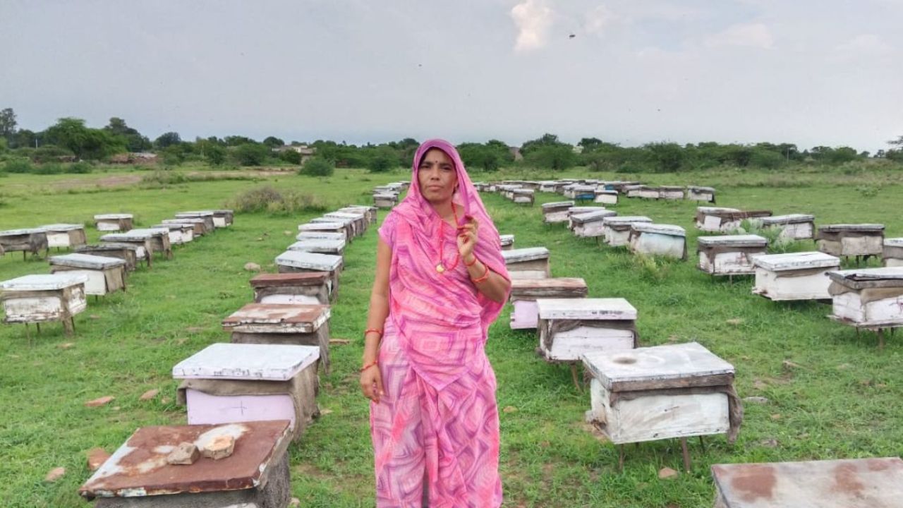 MP: How Climate Change Has Hit Chambal's Beekeepers, Food Systems