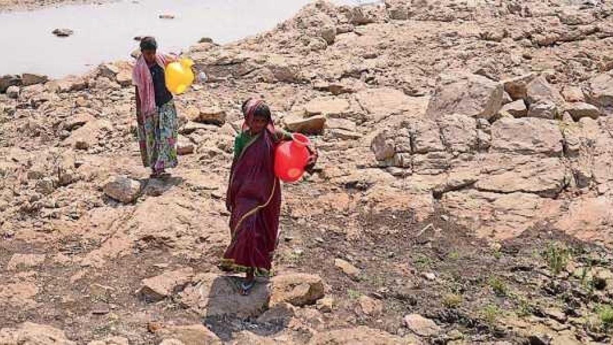 Surging Onion Prices In Bengaluru, Leaves Consumers And Traders Triggered 87 After Drought, Karnataka Farmers Hit With Crash in Prices of Agricultural Produce |