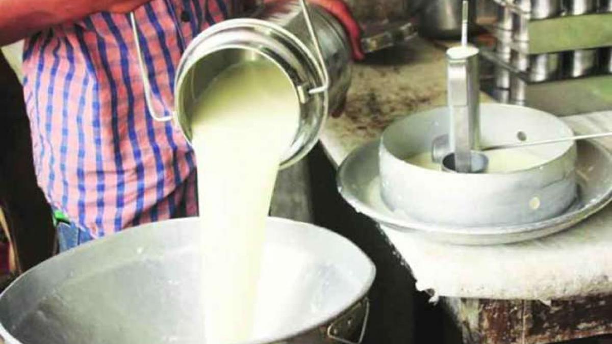 Maharashtra Amid Covid 19 Lockdown Farmers Selling Milk Face Losses Newsclick Mahananda has launched mahanand parijatak scheme. maharashtra amid covid 19 lockdown
