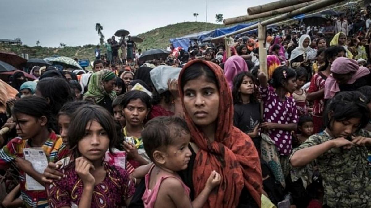 Art 370 How West Pakistan Refugees Were Let Down Newsclick art 370 how west pakistan refugees