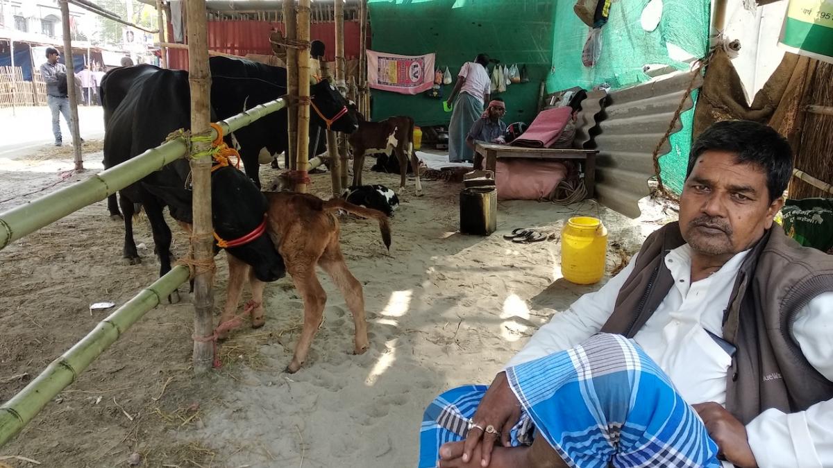 Asia's Largest Animal Fair Reels Under Agrarian Distress | NewsClick