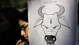 Beef eats man poster