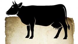 Who Ate the Cows in Ancient India? Part 2