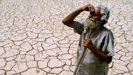 Why Farmers in Maharashtra Are Determined to Block Roads on 14th August