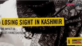 Should the Use of Pellet Guns be Banned in Kashmir?
