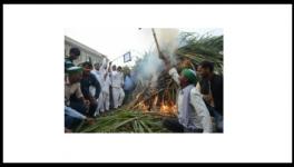 up sugarcane farmers