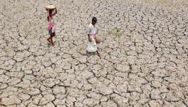 Agricultural Crisis