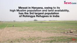  Rohingya Refugees in Mewat struggle to Survive