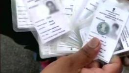 Voter IDs
