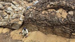 Why Didn’t Socialism Have Over-Production Crises?