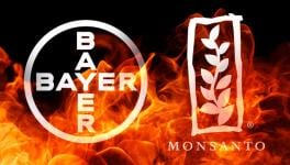  Bayer-Monsanto