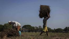 Myanmar farmers crisis