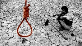 Farmers suicides in India