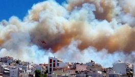 Greece Wildfire 