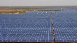 Adani Solar 