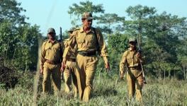 Forest Gaurds shot in Madhya Pradesh