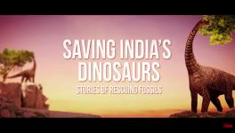 Saving India’s Dinosaurs: Stories of Rescuing Fossils
