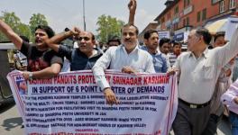 Modi Used Political Gains Kashmiri Pandits