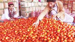 Tomato Farmers, Dates Traders In MP Stop Business With Pakistan Over Pulwama Attack