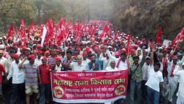 Farmers Booked, Taken into Custody Ahead of Kisan Long March in Maharashtra