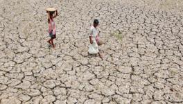 #MahaDrought: Farmers Commit Suicide, Families Struggle to Find Way out