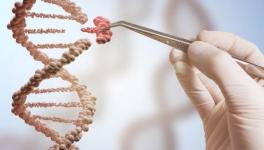 CRISPR Technology in Medicine